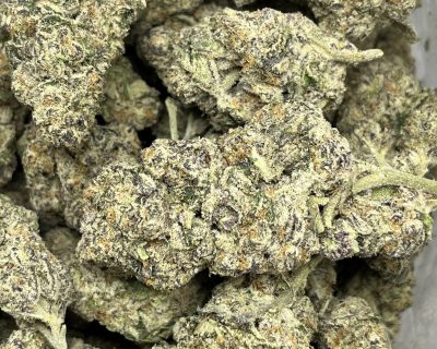 PLATINUM BERRIES LSO (EXOTIC GAS) - Image 1